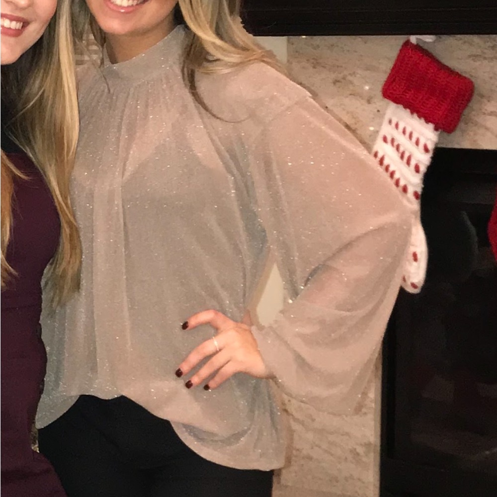 Zara sparkly sheer top